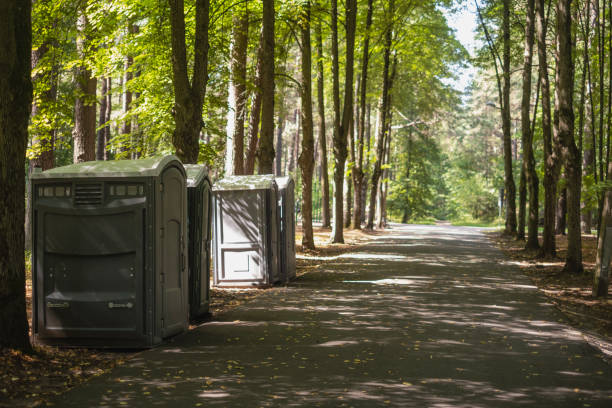 Best Affordable portable toilet rental  in Amboy, IL