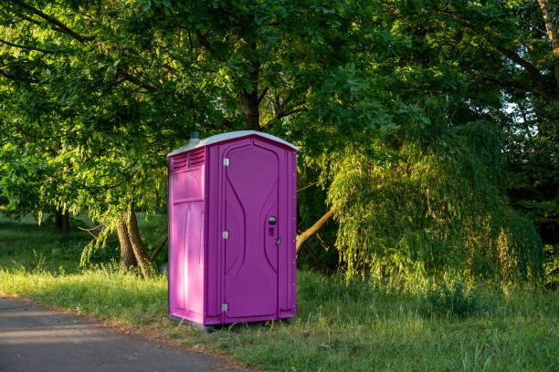 Portable Toilet Options We Offer in Amboy, IL